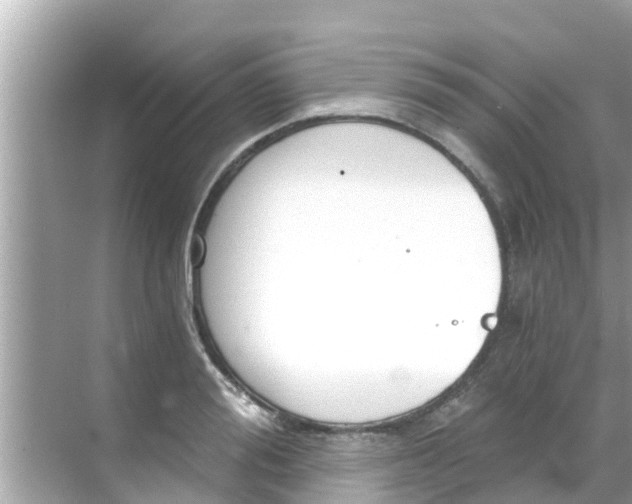 X0000068300988200605051928