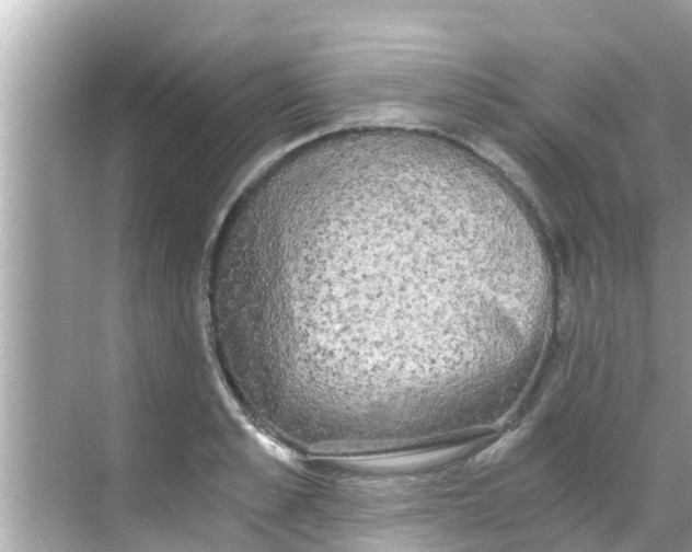 X0000068300989200605051928