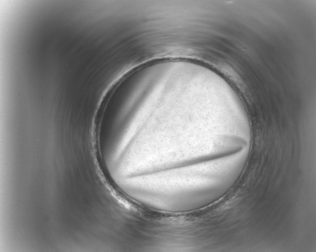 X0000068300990200605051928