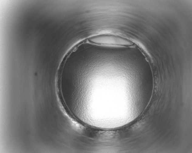 X0000068300991200605051928