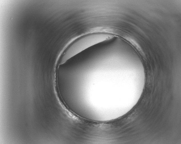 X0000068300992200605051928