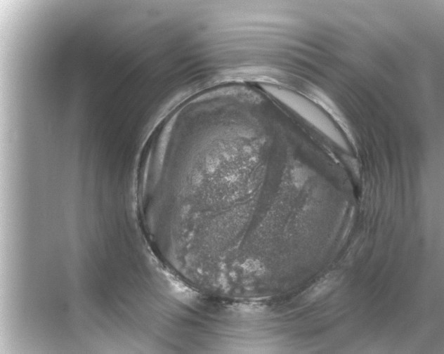 X0000068300994200605051928