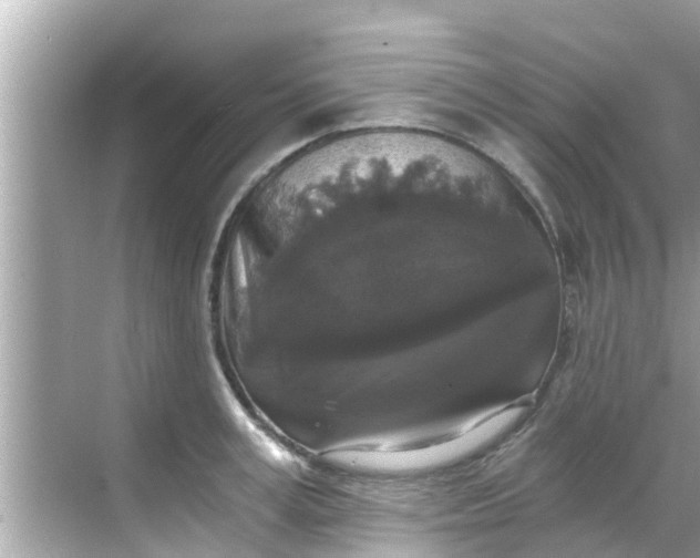 X0000068300995200605051928