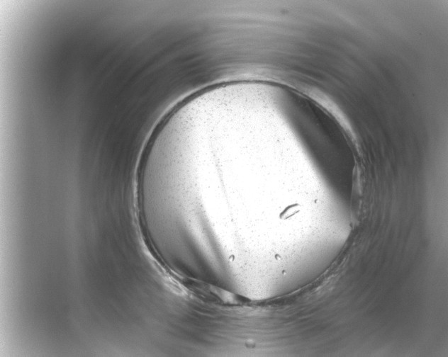 X0000068300996200605051928