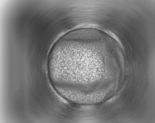 X0000068300997200605051928