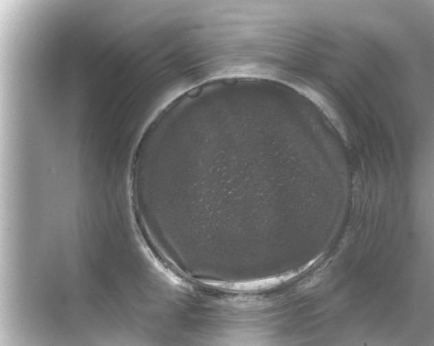 X0000068300998200605051928