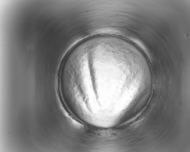 X0000068300999200605051928