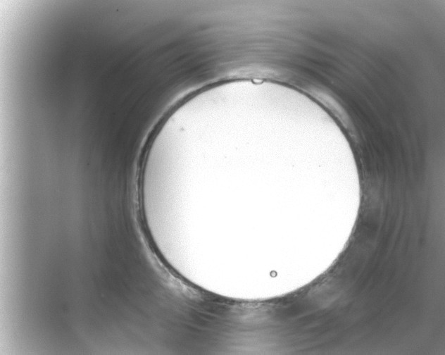 X0000068301000200605051928