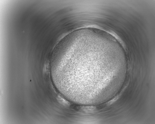 X0000068301001200605051928