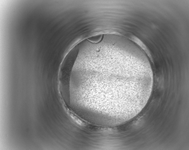 X0000068301002200605051928