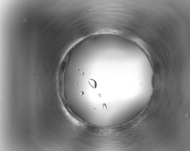 X0000068301003200605051928