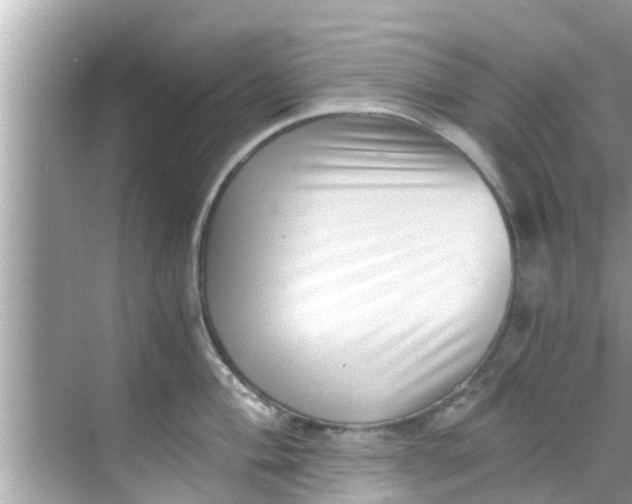 X0000068301004200605051928