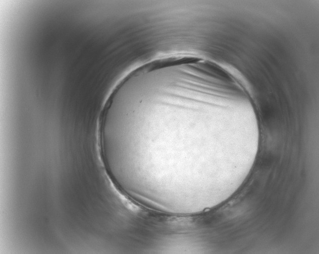 X0000068301006200605051928