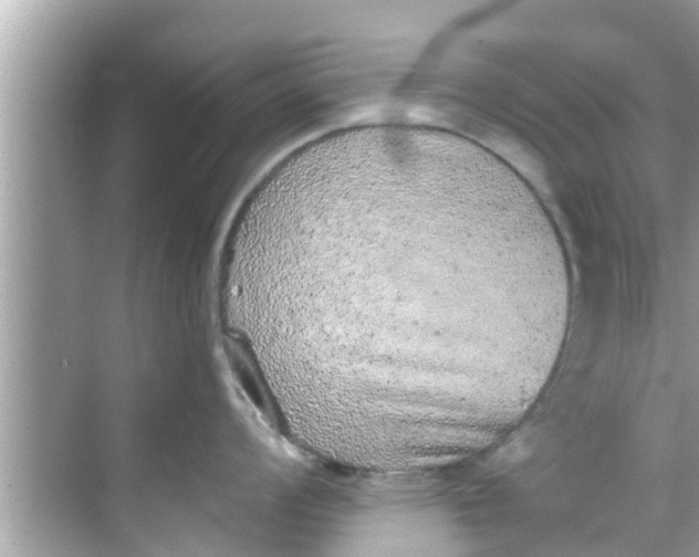 X0000068301008200605051928