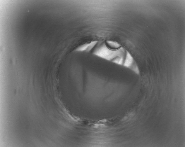 X0000068301009200605051927