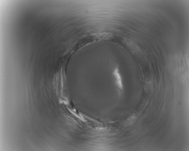 X0000068301010200605051927