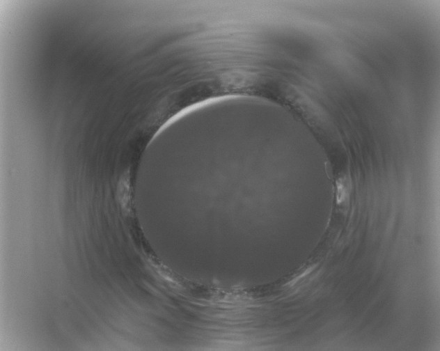 X0000068301011200605051927