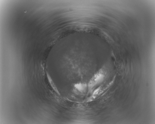 X0000068301013200605051927