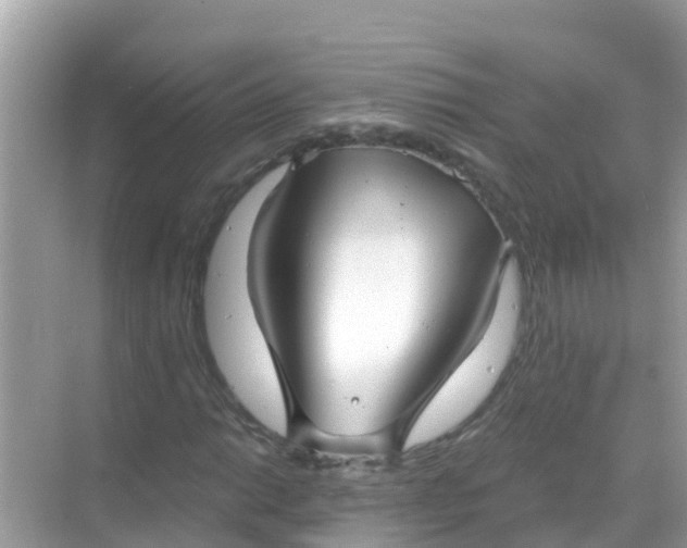 X0000068301014200605051927