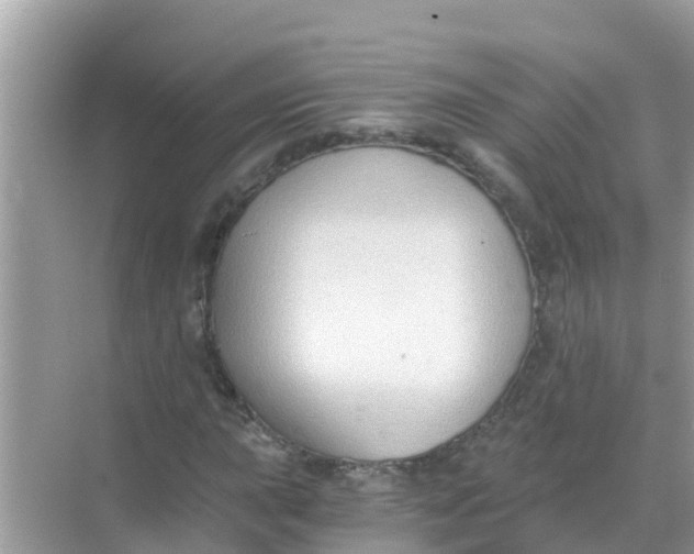 X0000068301015200605051927