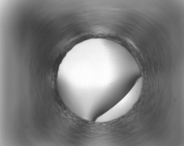 X0000068301016200605051927