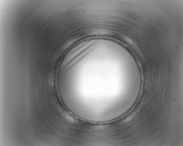 X0000068301017200605051927