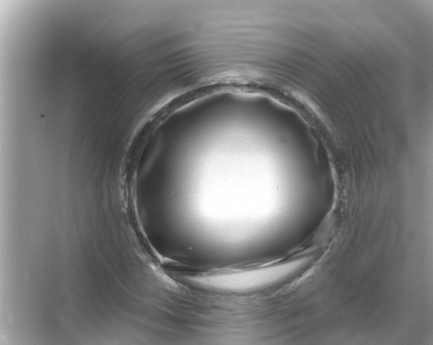 X0000068301018200605051927