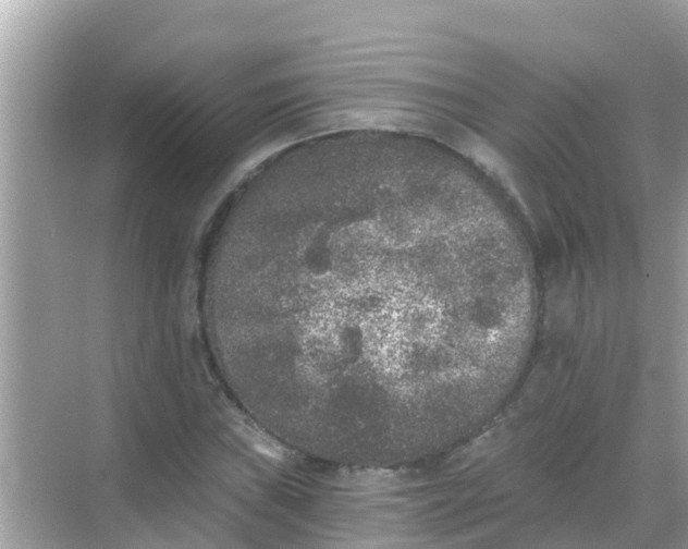 X0000068301019200605051927