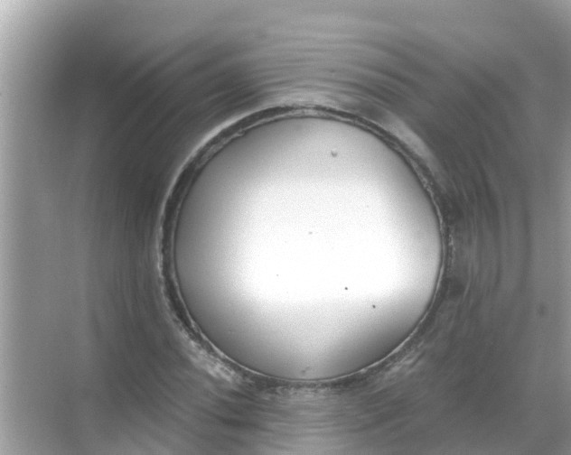 X0000068301020200605051927