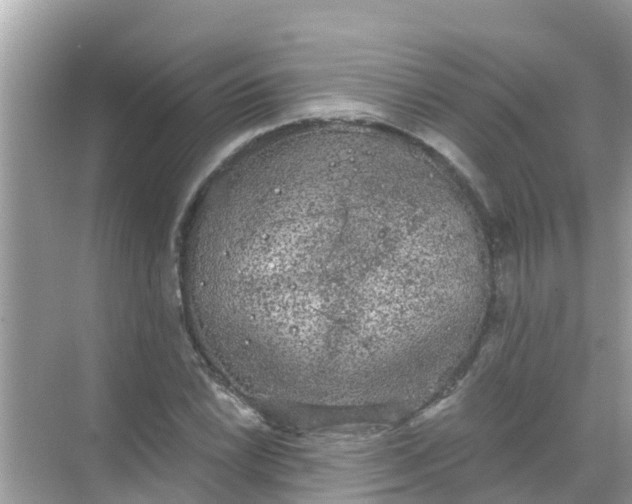 X0000068301022200605051927