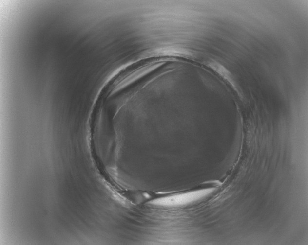 X0000068301024200605051928