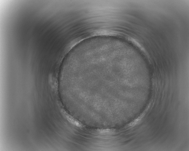 X0000068301025200605051928