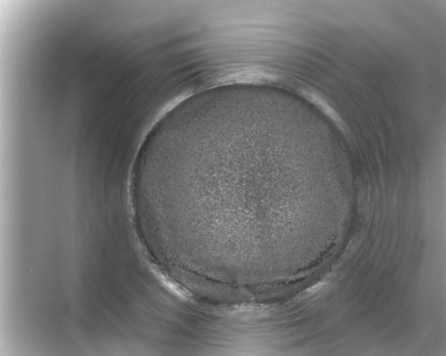 X0000068301026200605051928