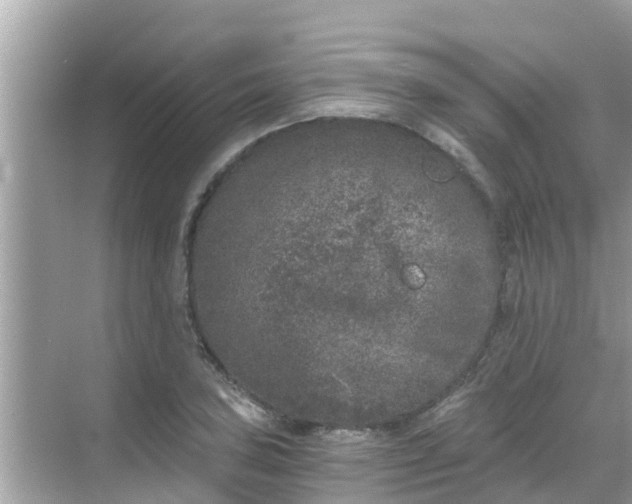 X0000068301027200605051928