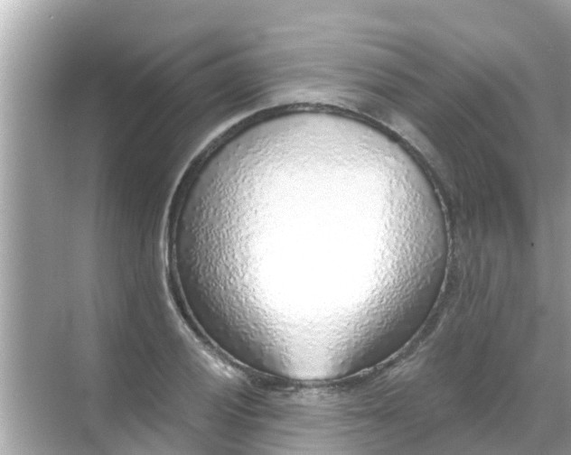 X0000068301028200605051928