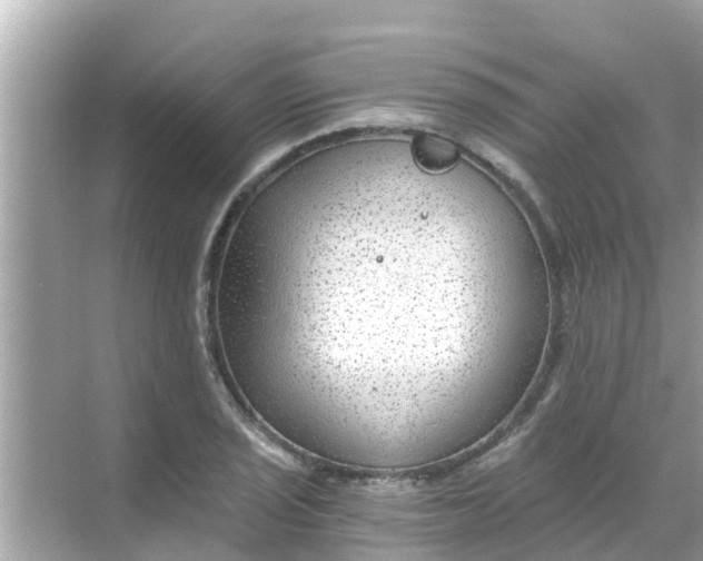 X0000068301029200605051928