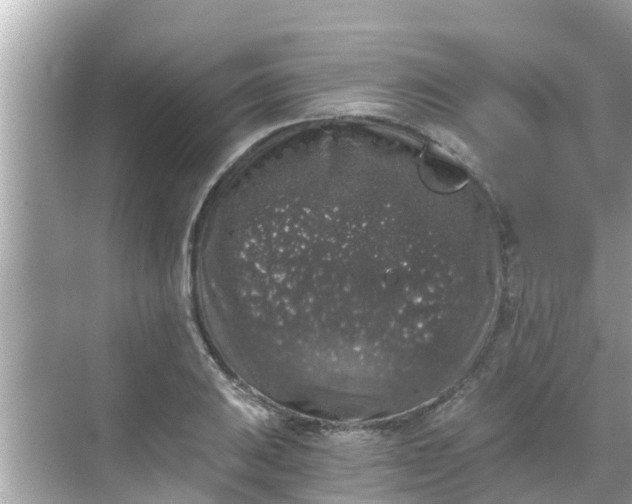 X0000068301031200605051928