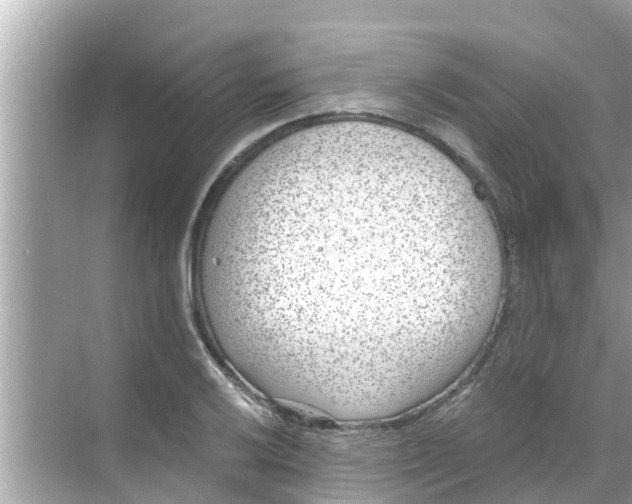 X0000068301032200605051928