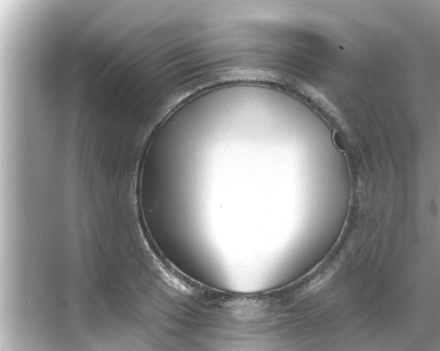 X0000068301033200605051928