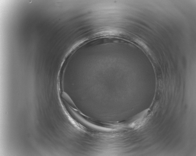 X0000068301034200605051928