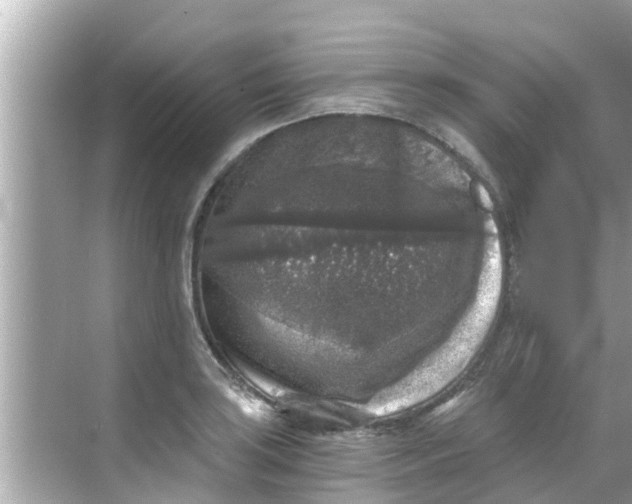 X0000068301035200605051928