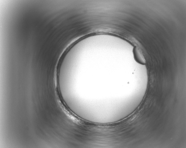 X0000068301036200605051928