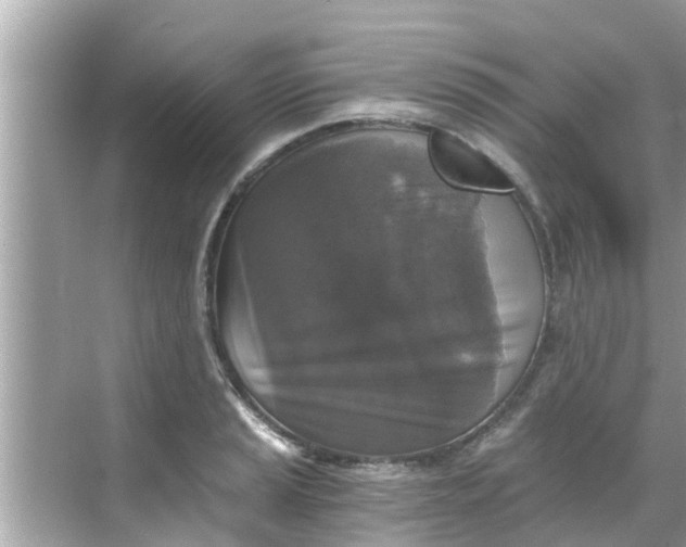 X0000068301037200605051928