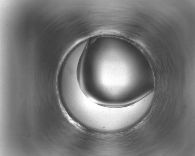 X0000068301038200605051928