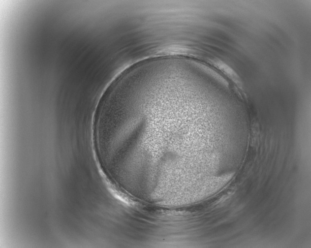 X0000068301039200605051928