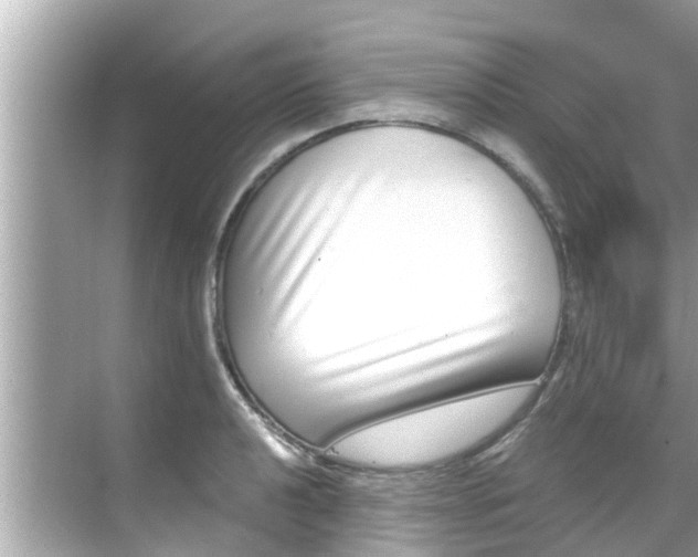 X0000068301040200605051928