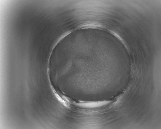 X0000068301042200605051928