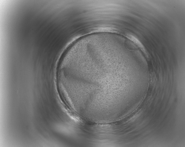 X0000068301043200605051928