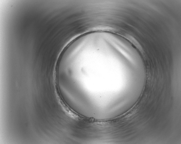 X0000068301044200605051928