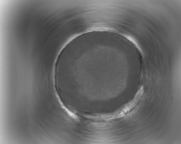 X0000068301046200605051928